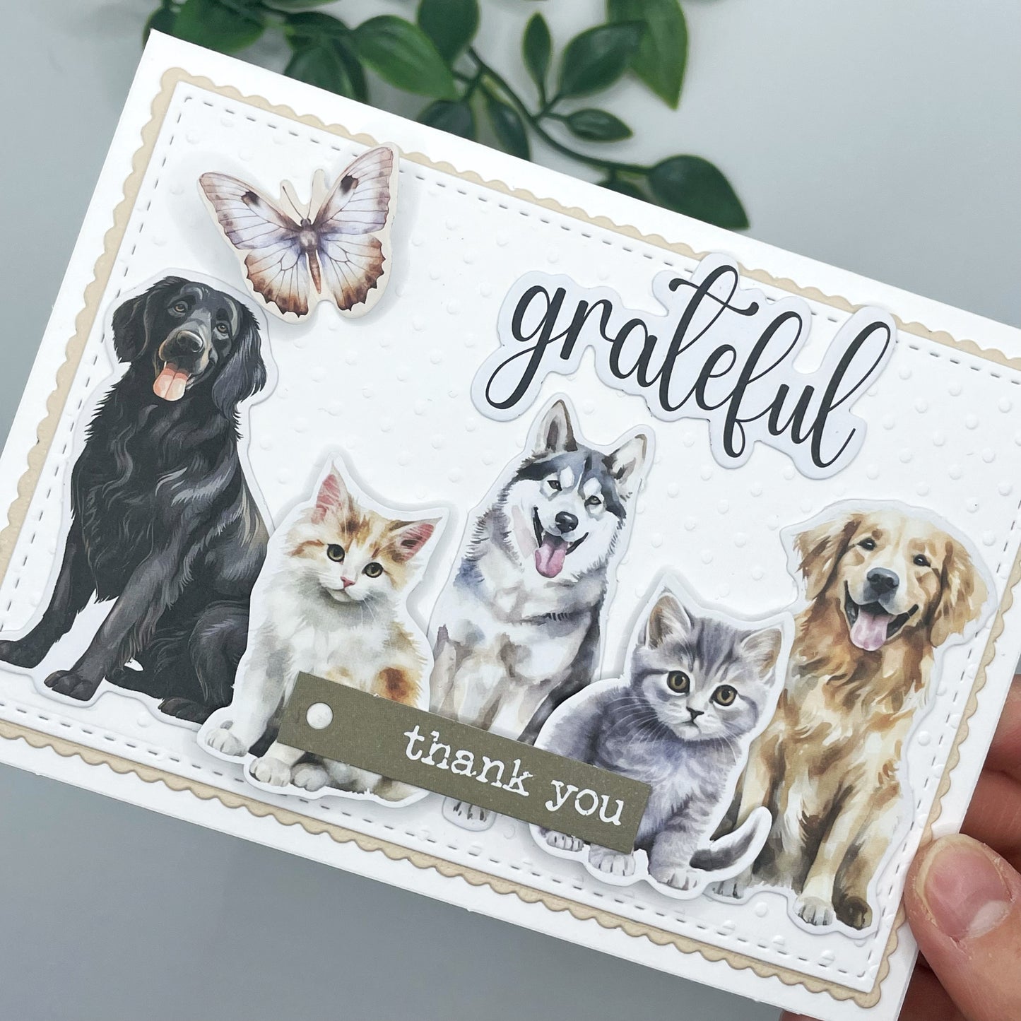 Grateful Thank You Card - Pets