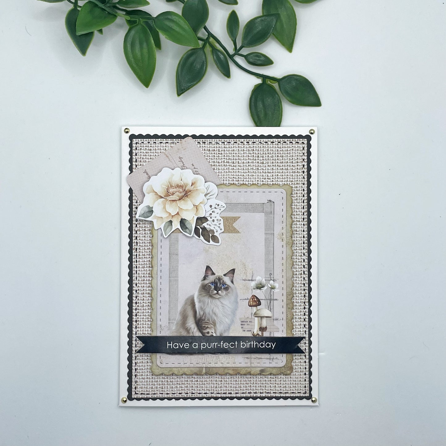 Purr-fect Birthday Card