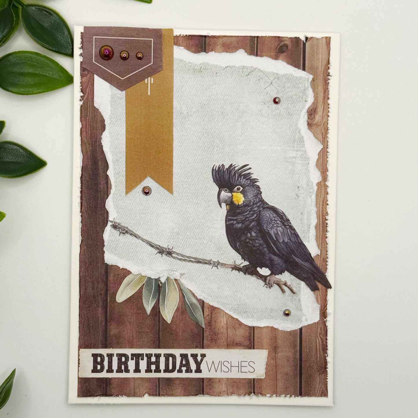 Black Cockatoo Birthday Wishes Card