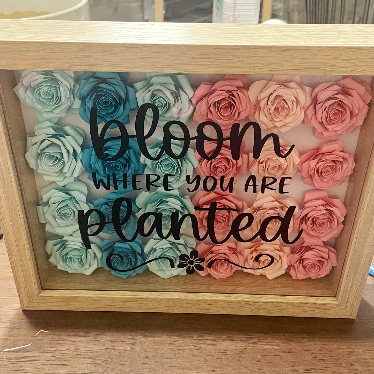 Bloom Where You Are Planted Shadow Box