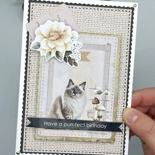 Purr-fect Birthday Card