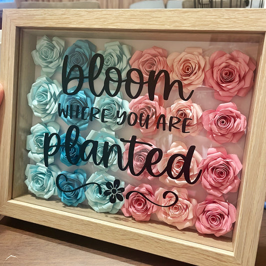 Bloom Where You Are Planted Shadow Box